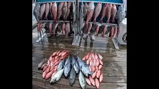 Рыбалка в Дестине, Флорида, чартерная поездка / 6-часовой рывок / африканские помпано / люцианы /...
