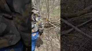 Skidding logs/ 3 point hydraulic tree winch