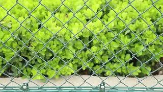 pvc coated chain link fence China directly factory