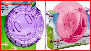 Kaytee Run About Ball Rainbow 7 Inches