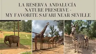 La Reserva Andaluc&iacute;a Nature Preserve - Safari near Seville Spain - A MUST VISIT with kids