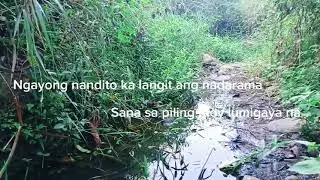 PUSONG SUGATAN...MUSIC AND LYRICS BY MEL TALABA