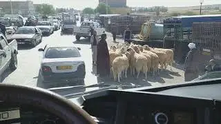 تيمقاد على بعد 36 كلم شرق ولاية باتنة ، عاصمة الآوراس ، أكثر من 418 كلم شرق الجزائر العاصمة،