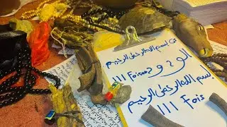 Solution pour d&eacute;portation de Trump. kouko deff k&eacute;nn doulla d&eacute;lossi S&eacute;n&eacute;gal inchallah.+221772863879