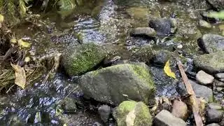 Cinematic River Water Close-Up | 4K Free Stock Footage | Nature Sound