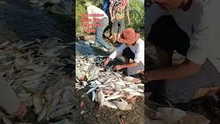 Mancing ikan di pulau petong cuma segini yang bisa kita selamatkan