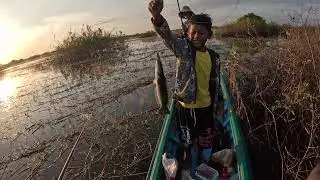 បឹងទន្លេសាបជាមួយស្ងាត់ក្មេង។ #បើកទូកចូលព្រៃ #មានសប្បាយមានទុក្ខ #គេចូលយើងចេញ #fishing #ដៃជ្រាយ