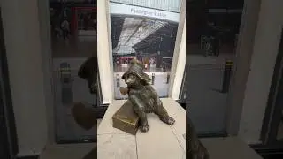 Paddington Bear at Paddington Station #paddingtonbear #london