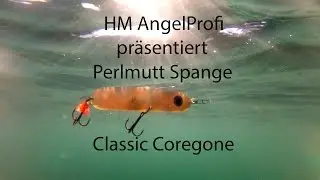 KÖDERSPIEL PERLMUTTSPANGE KLASSISCH