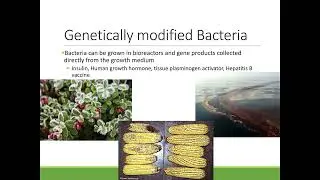26.2 Biotechnology Products