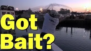 Throwing the CASTNET on PEANUT BUNKER for Live Bait Fluke Fishing