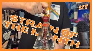 STRAIN OF THE MONTH #7 | HAVING A BLAST, GETTING BLASTED