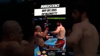 🛑 Why Does UFC Use an Octagon Instead of a Boxing Ring? 🥊#ufc #mma