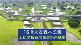 16倍大安森林公園　五股坐擁新北最美水岸綠地