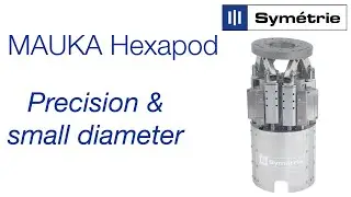 MAUKA hexapod - Compact hexapod by Sym&eacute;trie