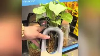 Lowes plant shopping- full video! Big box plant shopping.