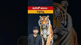 How to bath a tiger #swaroopfacts