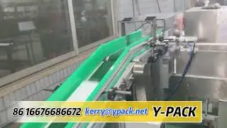 Disposable mask cartoning machine