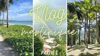 VLOG Martinique partie 1 : Voyage - Logement - Transports