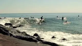 Brave Surfers