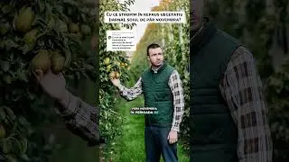 Cu ce stropim &icirc;n repaus vegetativ (iarna), soiul de păr novembra? #tratamentrepausvegetativ