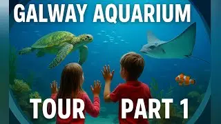 🐠 Galway Aquarium Tour | Part 1 | National Aquarium of Ireland 🌊