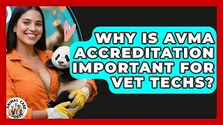 Why Is AVMA Accreditation Important For Vet Techs? - Animal Care Jobs