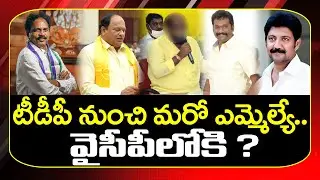 Another TDP MLA Ready to Jump in YSRCP ? | Ys Jagan | Visakhapatnam MLA | Chandrababu | PDTV News