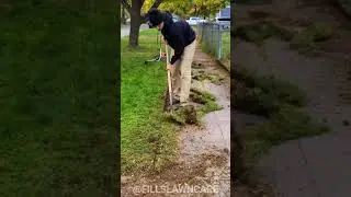 Satisfying Lawn Edge Cleanup