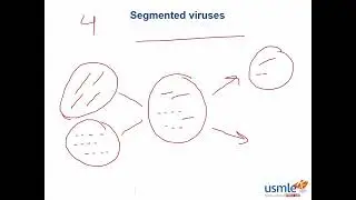 Segmented Viruses   A T F