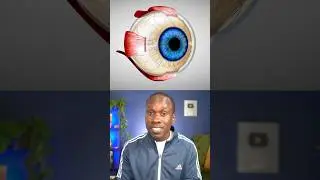 Does reading in dim light hurt your eyes? Truth or Trash Episode 1 #biology
