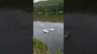 Рыбалка и шашлычок ;)