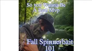 Simple Spinnerbait Tips for Fall Bass Fishing 