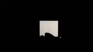 Kujo @ Zenevloed Nov 2 2018