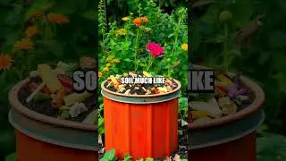 Nature-Inspired Hacks for an Eco-Friendly Lifestyle