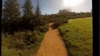 Running in Caroline Park, Redlands, CA