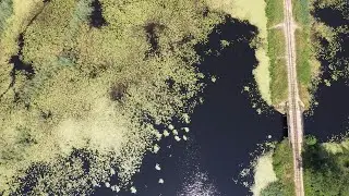 Kolejką z Hajnówki do Topiła w Puszczy Białowieskiej
