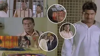Student No:1 Movie Super Hit Climax Scene | JR NTR | Kota Srinivasa Rao @tfcmovies