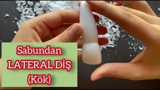 Sabundan Üst Lateral Diş Yapımı! (KÖK Bölümü) | Maxillary Lateral Incisor |