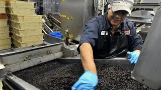 California Raisin growers produce 100% of raisins in the U.S.