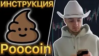 Poocoin краткая инструкция