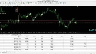 Best EA Forex Robot 100USD to 2000USD in One Month