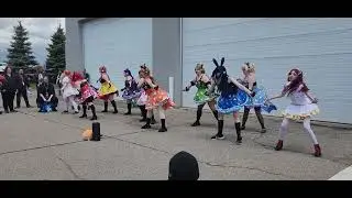 Nekonome - Sunny Day Song