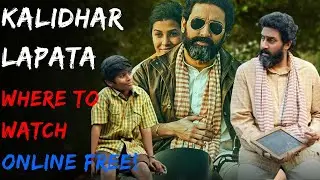 Kalidhar Lapata: The Hit Show You Should Be Streaming For FREE!