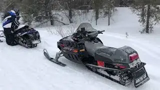 Beautiful snowy day on our more modern snowy