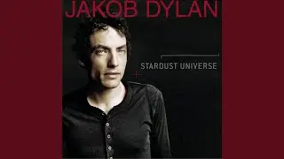 Stardust Universe