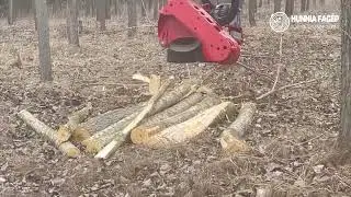Log Max 4000T Harvester fej