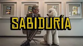 Perro viejo. Perro sabio. El Podcast
