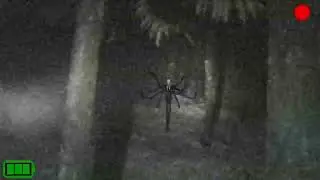 Slender Man Found Footage