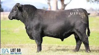 LOT 69   NEW TRIX U181